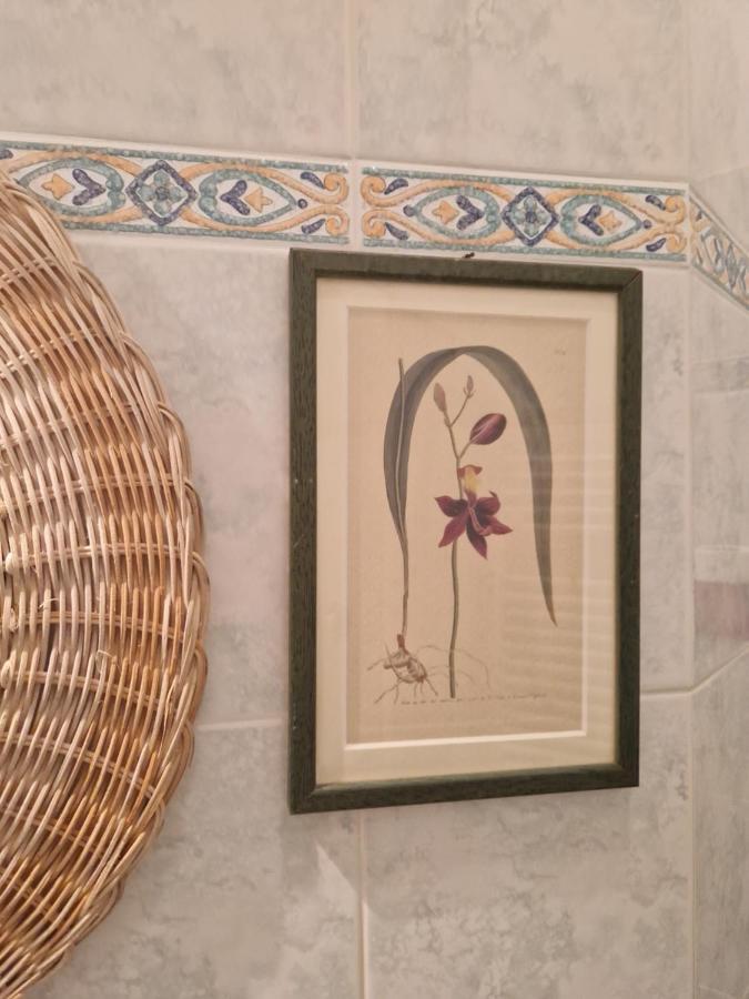 At Monica'S In Rome - Stazione Labaro Apartment Екстериор снимка